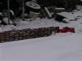 Tog sne=sneplov
