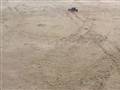 Marder og banditt på stranden 